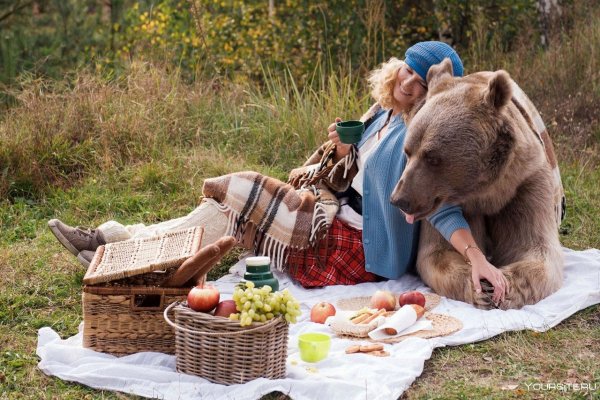 Медведь на пикнике