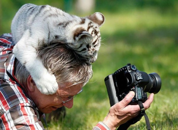 Вилдлайф фотографер