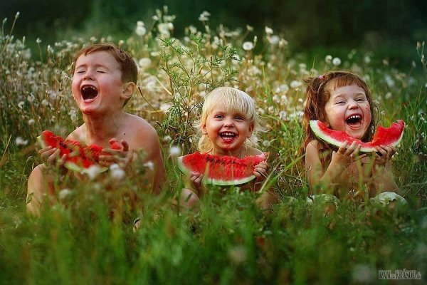 Дмитрий Кох фотограф дикой природы