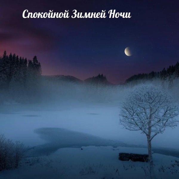 Спокойной зимней ночи