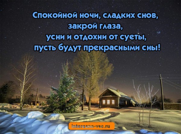 Зимний лес в лунном свете