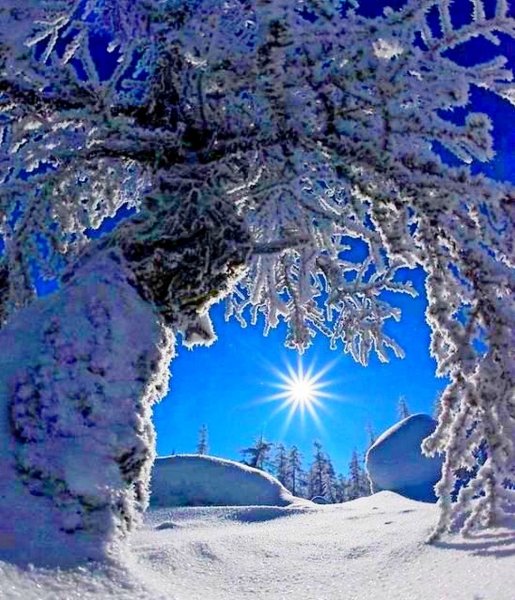 Сладкой ночи природа