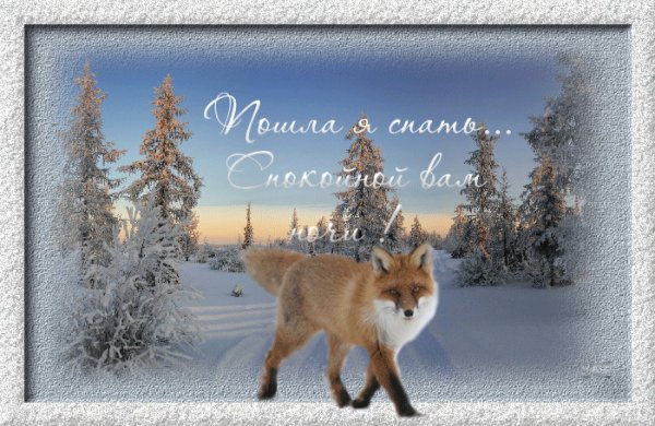 Спокойной ночи Инга