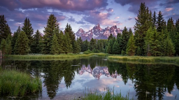 Природа вертикальное фото