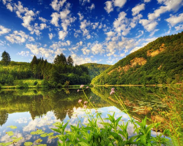 Национальный парк Джаспер, Альберта, Канада