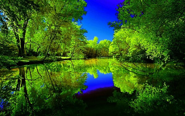 Летняя природа