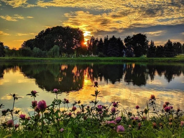 Закат в лесу