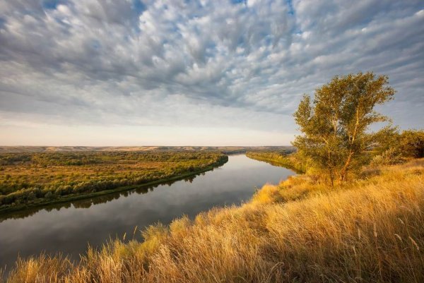 Ростовская область Донской край степи