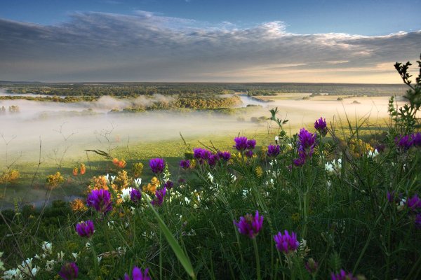 Азовский район природа