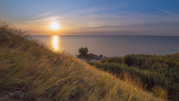 Донская степь Ростовская область