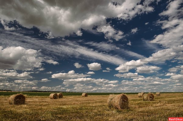 Донской край казачий край природа