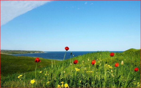 Природа Донского края Волгодонск
