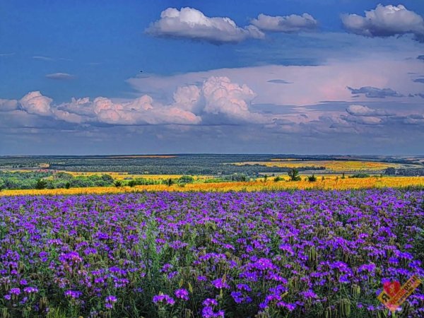 Липовый Донец река Белгород