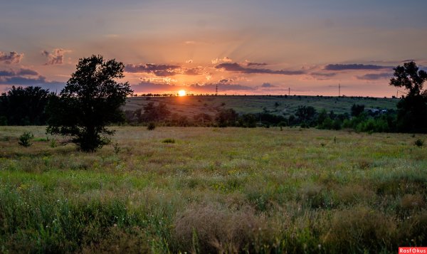Природа Донского края Волгодонск