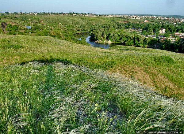 Природа Донского края Волгодонск