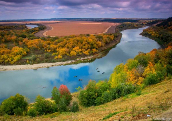 Река Дон лебяжий Яр