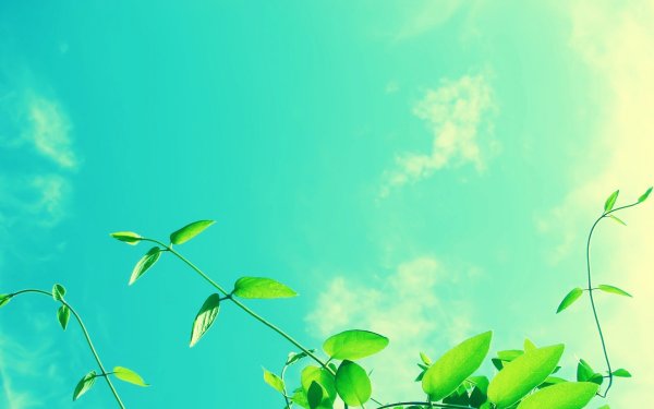 Фон для презентации природа