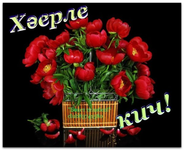 Картина Хаерле Кич Ромашка