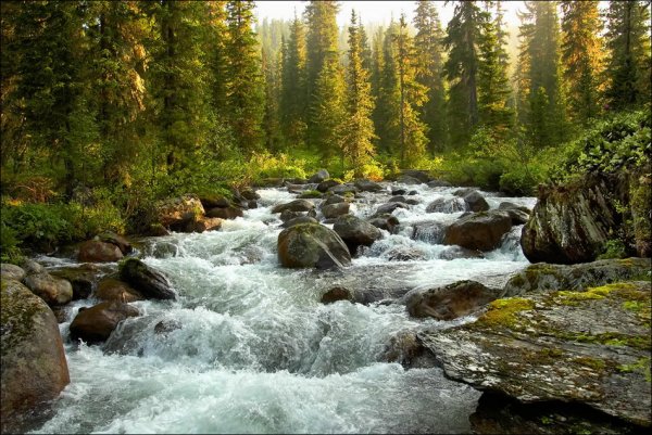 Горно Таежные реки Красноярск