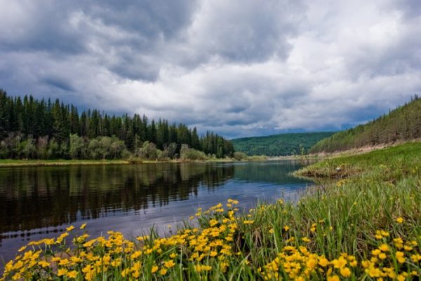 Пейзаж сибирских Увалов