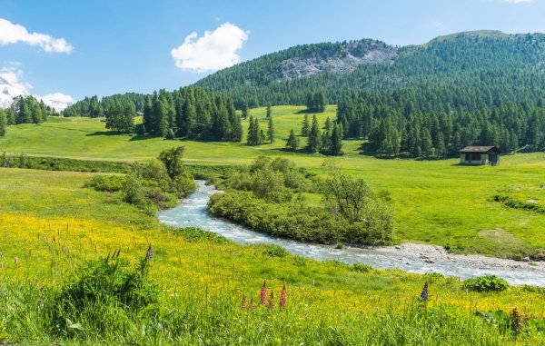 Таежные просторы Западной Сибири