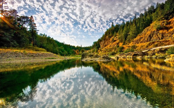Природа и реки Сибири