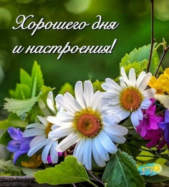 Доброго дня и хорошего настроения