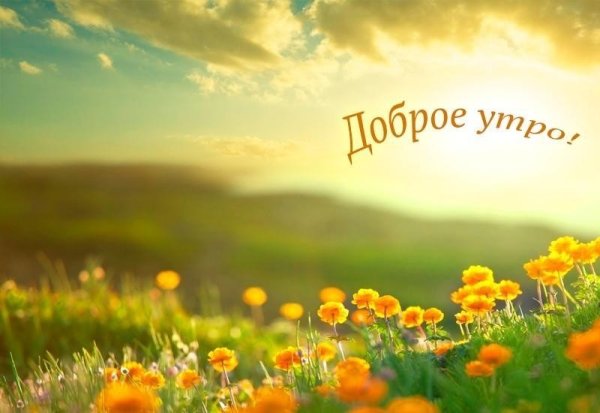 Доброе утро природа