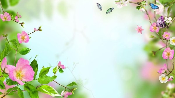 Открытка с днем рождения природа