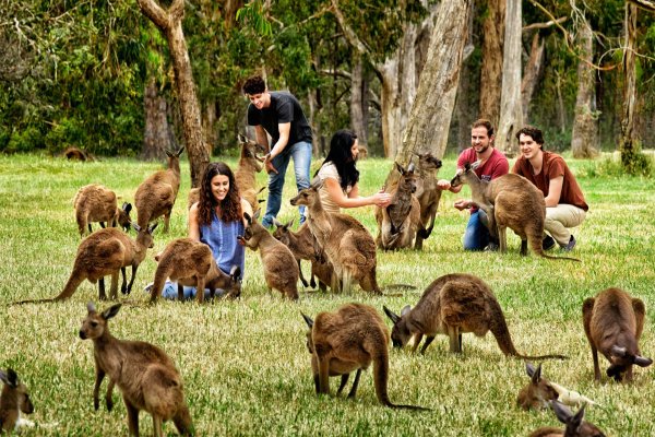 Wildlife Park Австралия