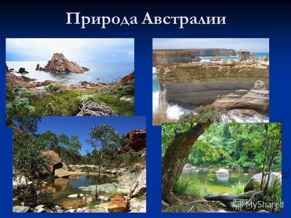 Австралия материк природа