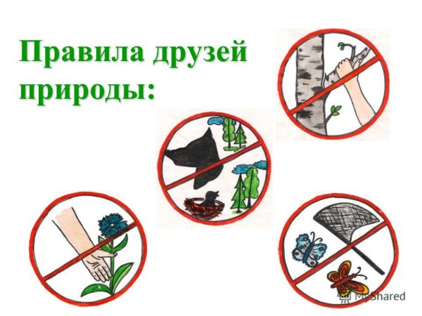 Знаки защиты природы для детей