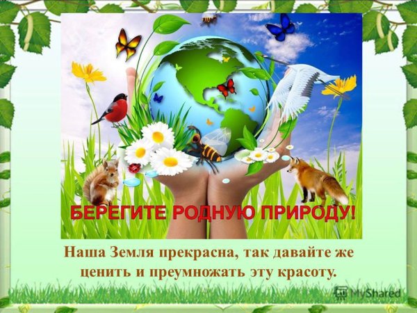 Берегите родную природу