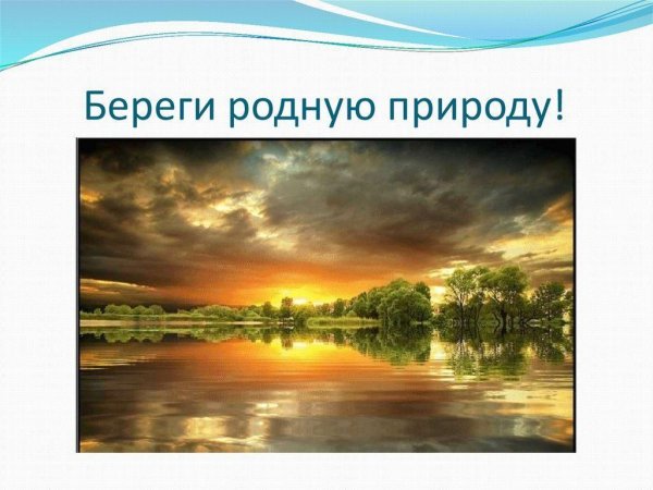 Береги родную природу