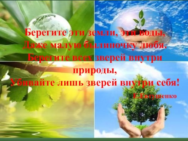 Берегите природу