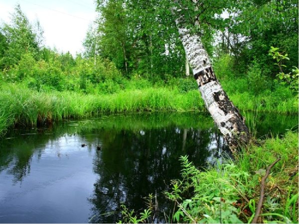 Берегите природу