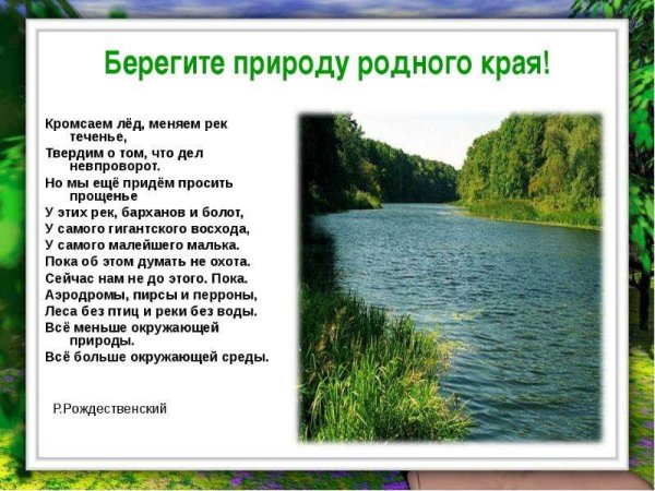 Береги природу родного края
