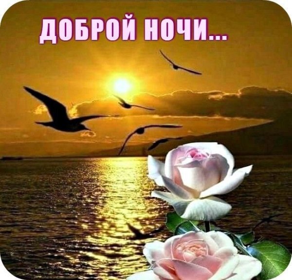 Доброй летней ночи