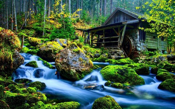 Фотообои на стену природа с водоемом