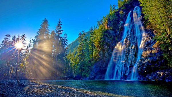 Баннер природа красивый