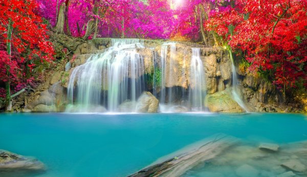 Природа лес водопад
