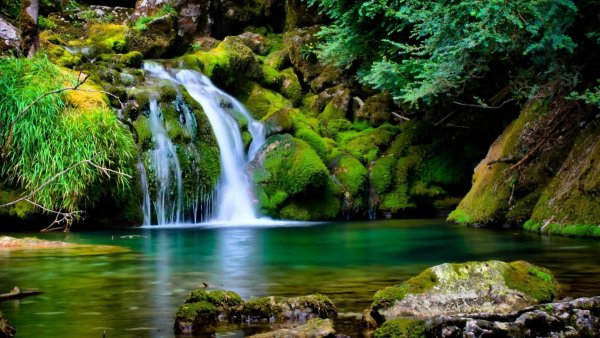 Водопад в лесу
