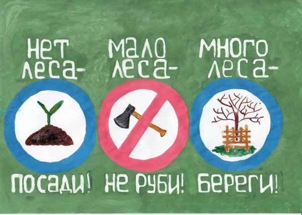 Плакат по экологии в детском саду