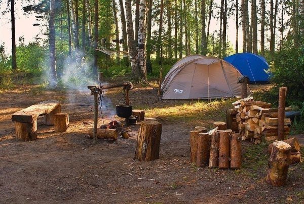 Место для пикника в лесу