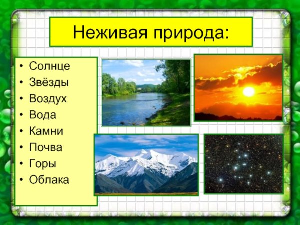 Живая и неживая природа 1 класс