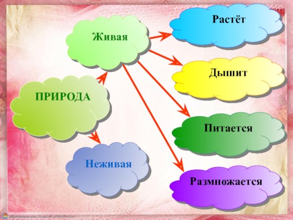 Природа и предметы созданные человеком