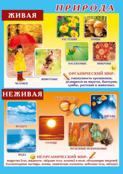 Явления неживой природы явления живой природы