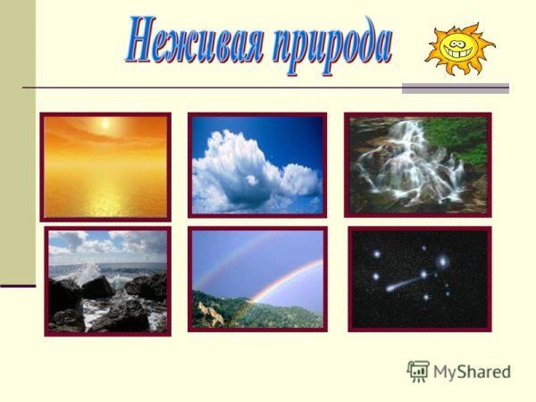 Объекты живой природы и неживой природы