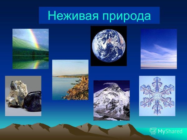 Живая и неживая природа