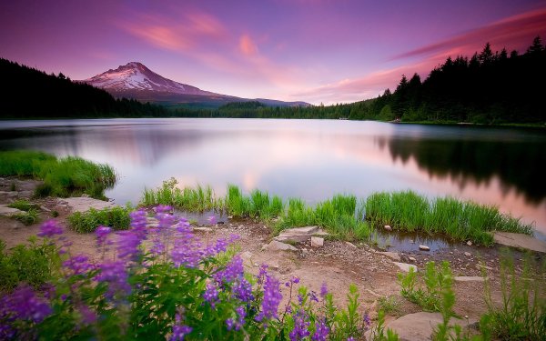 Красивая природа